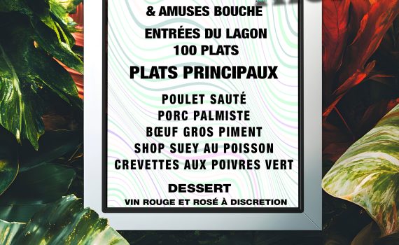 diner dansant du 26 novembre 2025 au lagon bleu